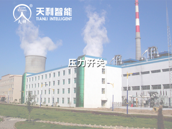 山東魏橋鋁電有限公司長山熱電廠4*330MW機組